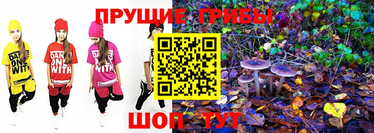 Шелехов  Галлюциногенные грибы мухоморы  Вход с VPN  Галлюциногенные грибы GOLDEN TEACHER 