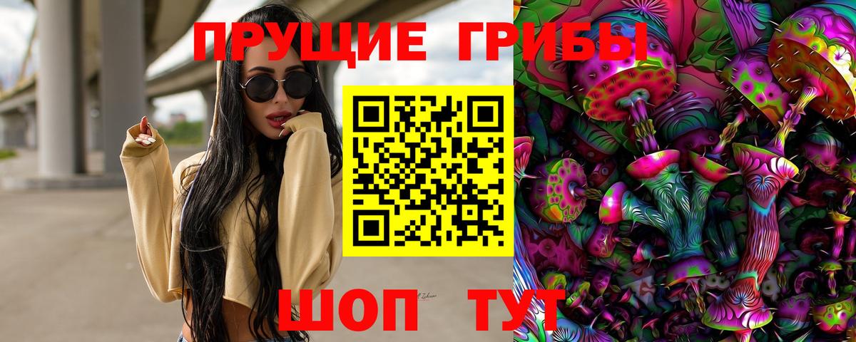 Псилоцибиновые грибы GOLDEN TEACHER Шелехов